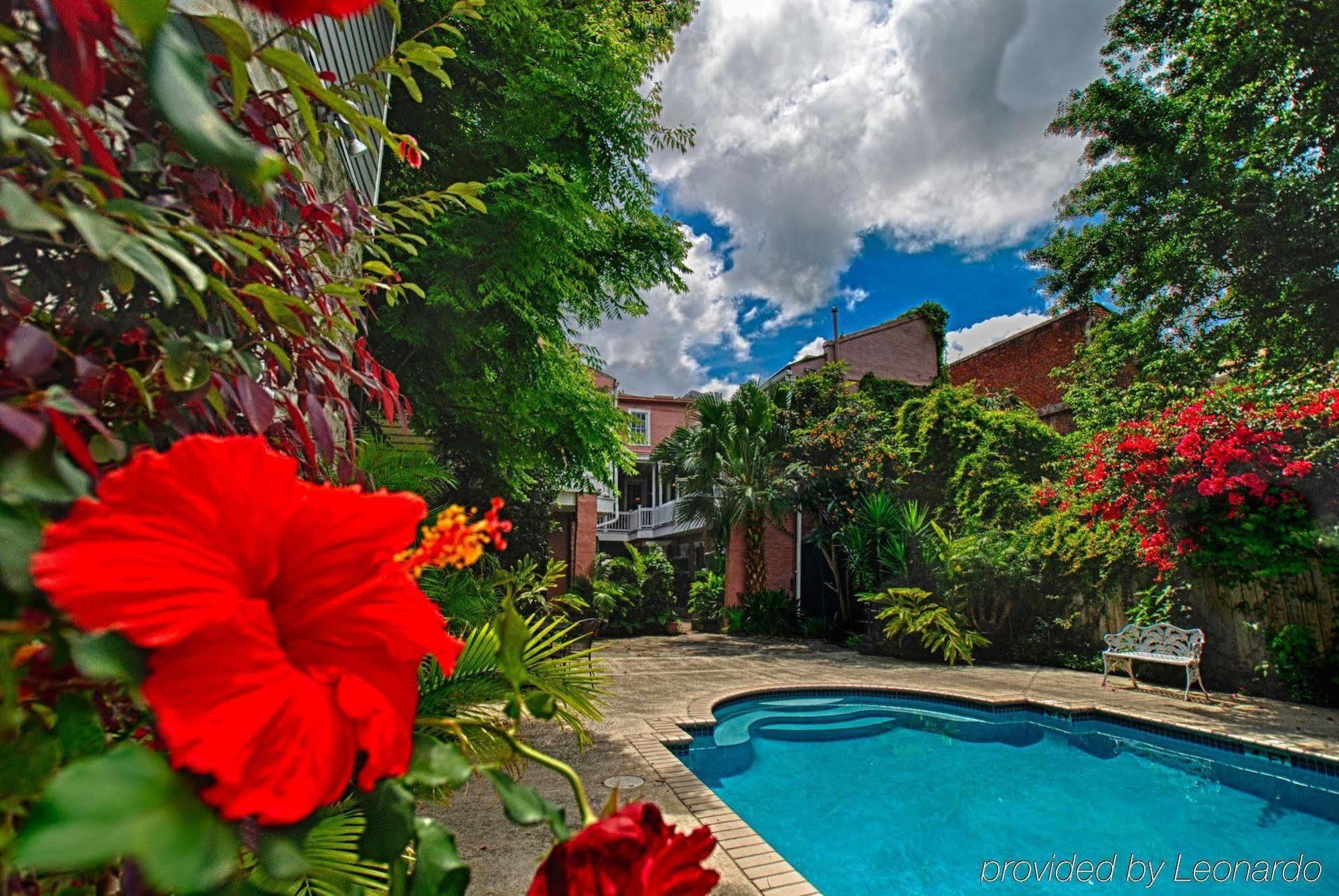 Lamothe House Hotel A French Quarter Guest Houses Property Νέα Ορλεάνη Εξωτερικό φωτογραφία